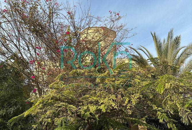 64647890 - صورة العقار 3