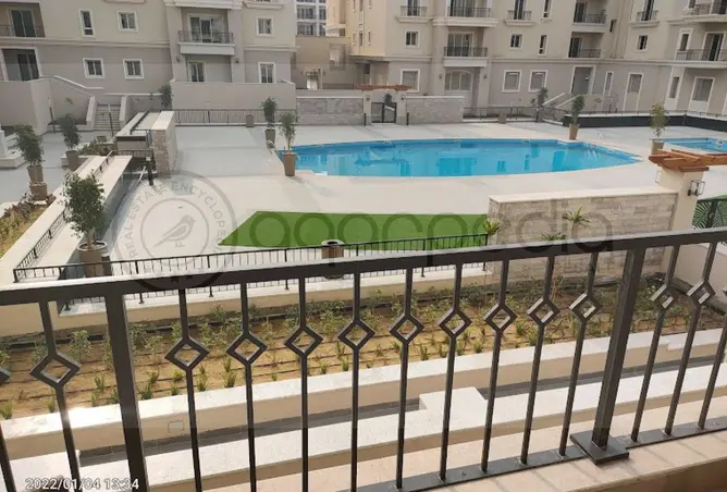 116751852 - Property Image 3