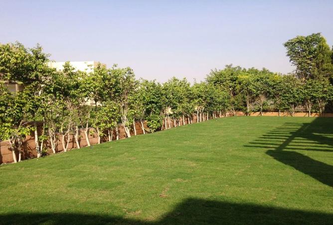 105173791 - الصورة الرئيسية للعقار