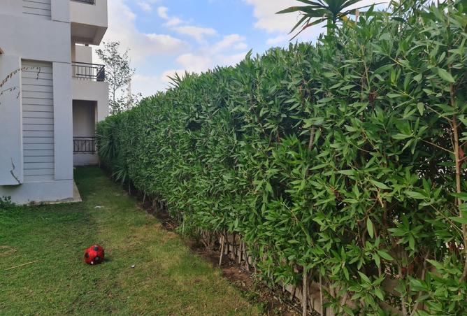 8430130 - Property Image 3