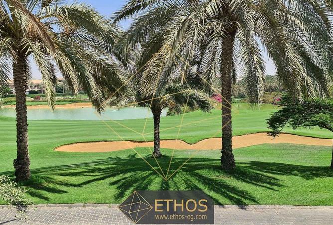 59249045 - الصورة الرئيسية للعقار