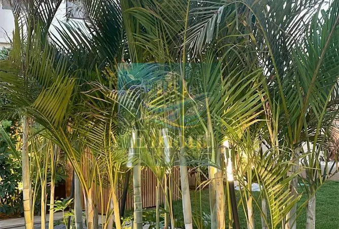 113263142 - Property Image 3