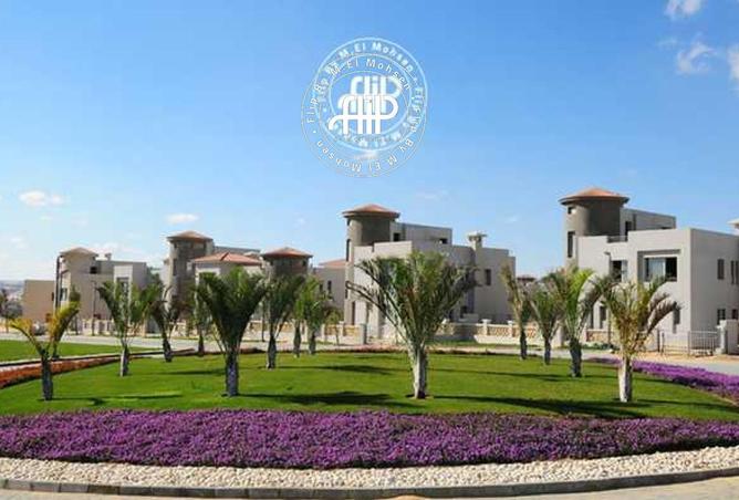 67741098 - صورة العقار 3