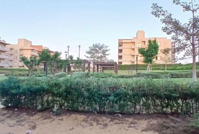 72179068 - الصورة الرئيسية للعقار
