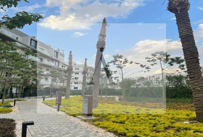 8535073 - صورة العقار 2