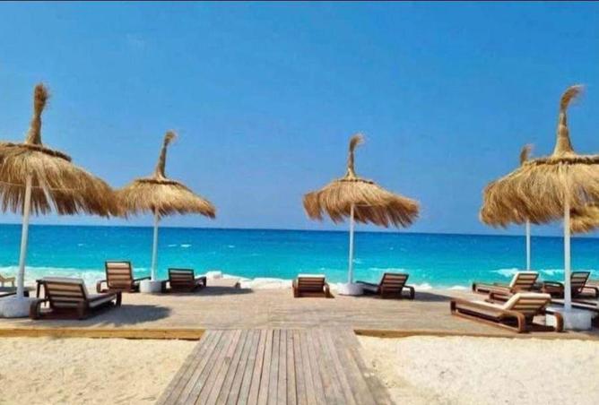 53986815 - صورة العقار 3