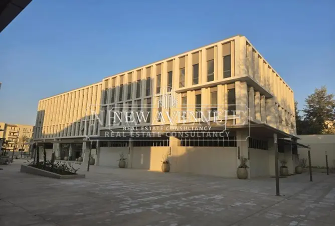 113252410 - صورة العقار 2