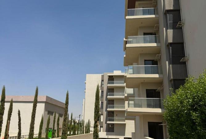 8579307 - Property Image 3