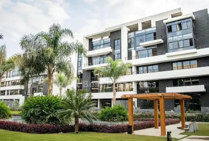 118039835 - Property Image 2