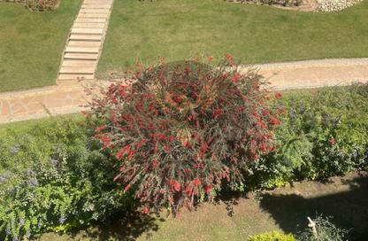 Apartment - 2 - 2 for rent in The Square - 5th Settlement Compounds - The 5th Settlement - New Cairo City - Cairo Apartment - 2 - 2 for rent in The Square - 5th Settlement Compounds - The 5th Settlement - New Cairo City - Cairo