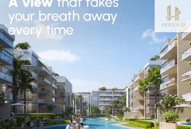 63641945 - Property Image 3