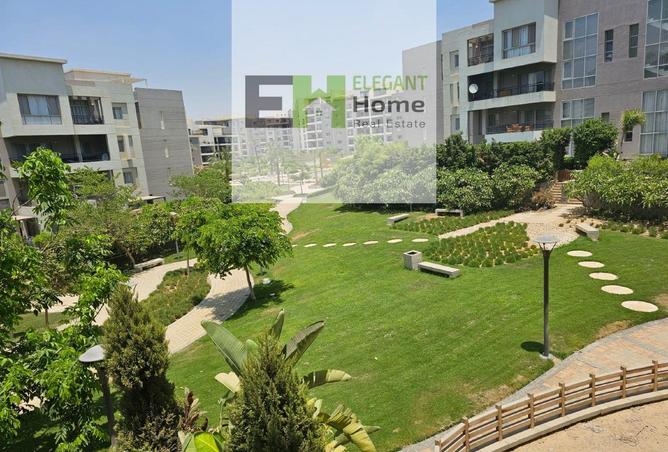 91843246 - صورة العقار 3
