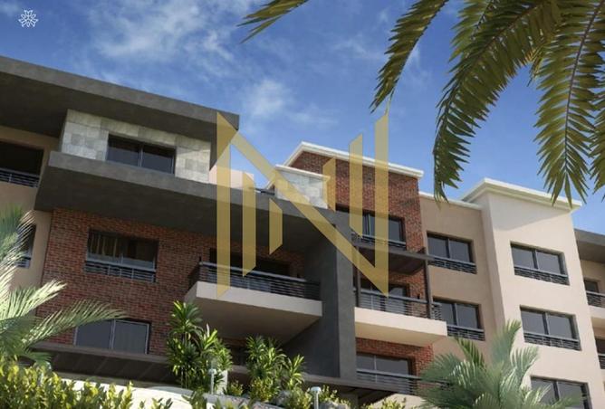 65667495 - صورة العقار 3