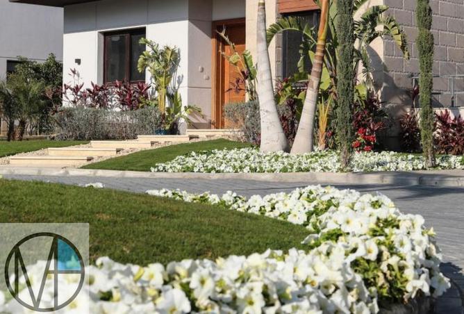 8622634 - صورة العقار 3