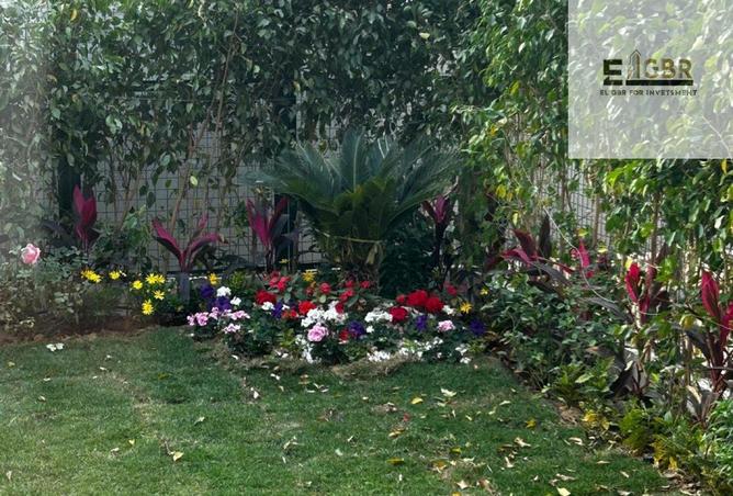 64384971 - Property Image 2