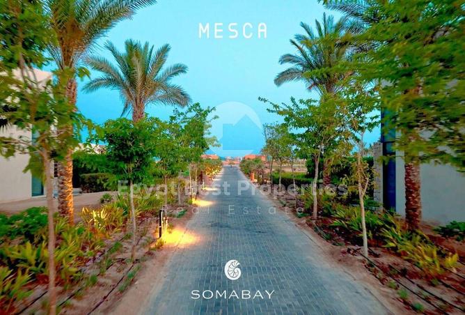 64907613 - صورة العقار 2