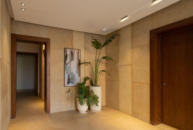 8546644 - Property Image 3