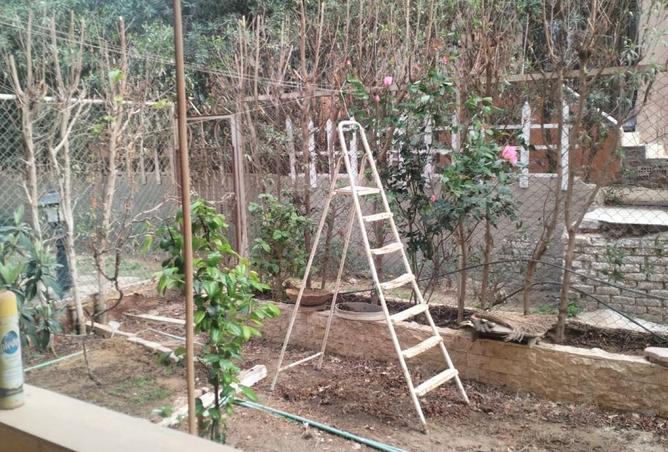 56746134 - صورة العقار 2