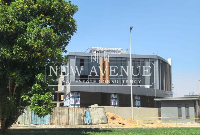 52185556 - Property Image 3