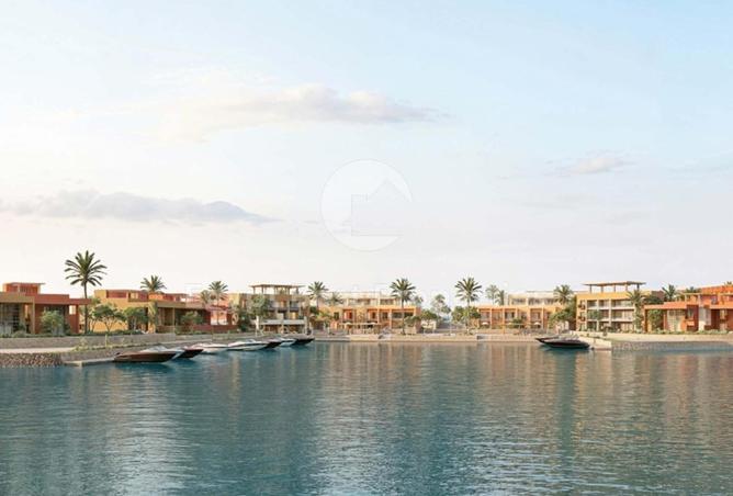101499517 - Property Image 3