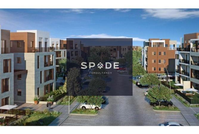 8601324 - صورة العقار 3