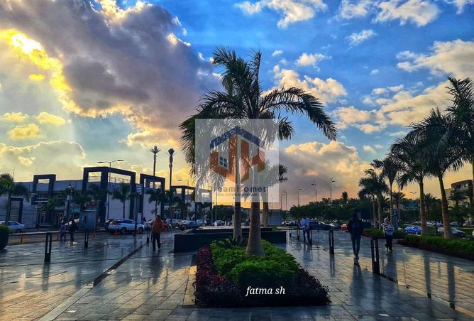 8429501 - Property Image 3