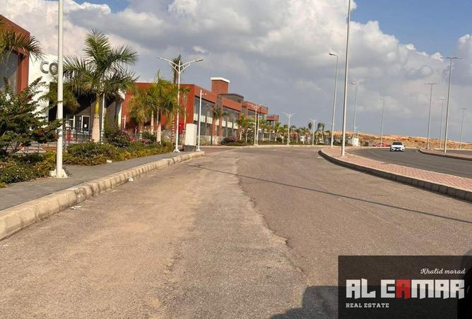 64137255 - صورة العقار 3