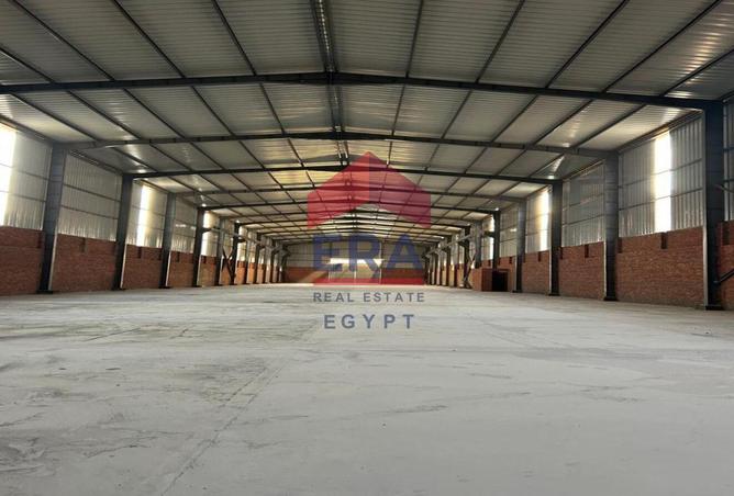 64888920 - صورة العقار 3