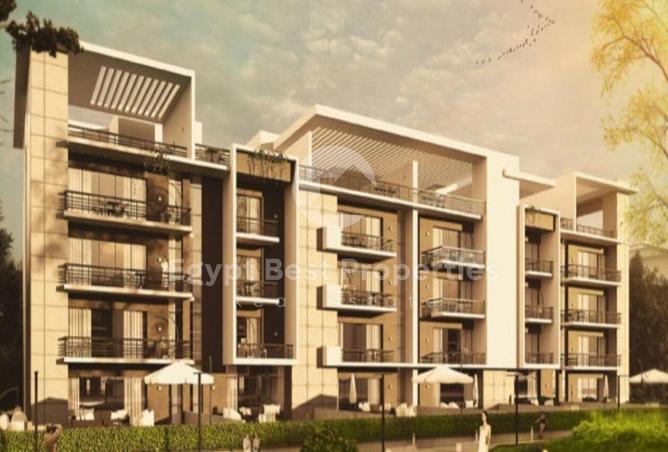 56498831 - Property Image 3