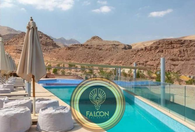 67222981 - صورة العقار 2