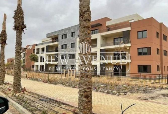 8664091 - Property Image 3