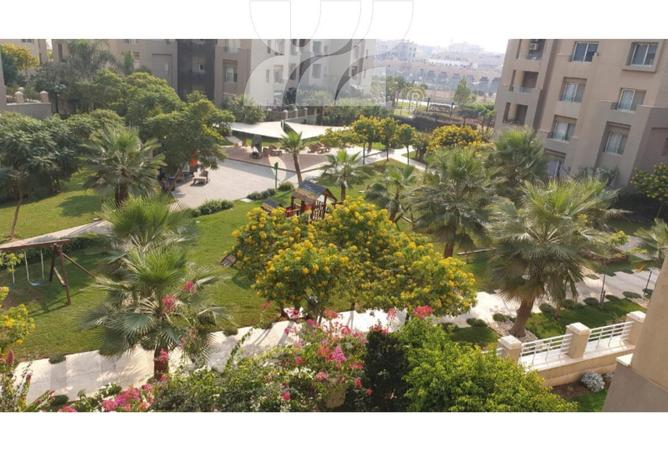 66437780 - الصورة الرئيسية للعقار