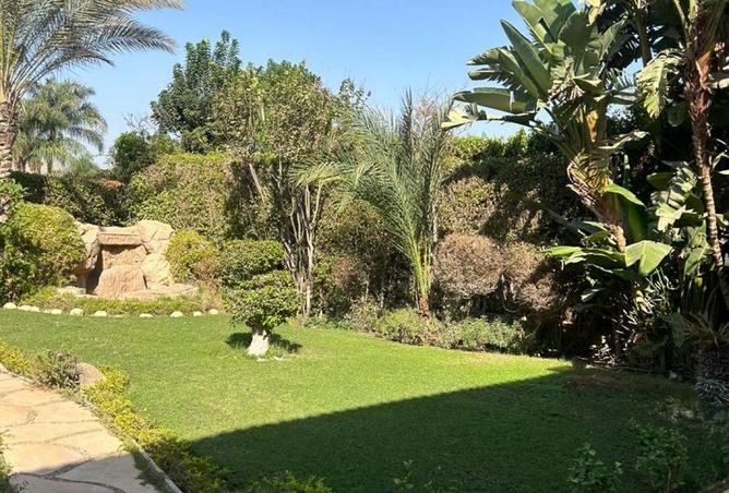 65664012 - صورة العقار 3