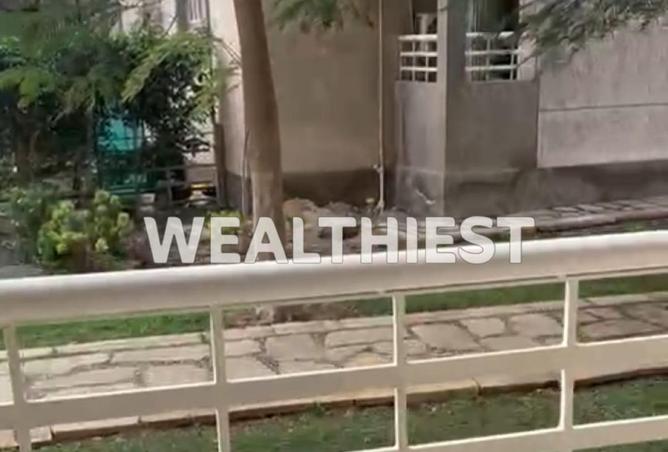 63893084 - صورة العقار 2