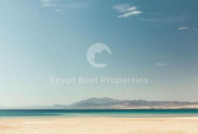 68791921 - صورة العقار 3