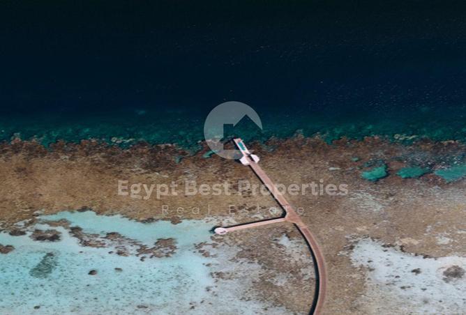 68791921 - صورة العقار 2