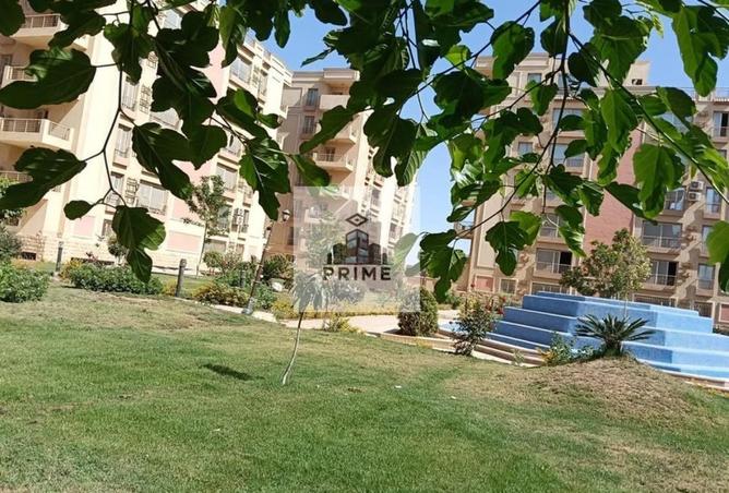 91287285 - صورة العقار 3