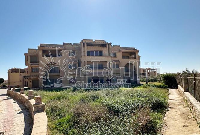 8718466 - صورة العقار 3