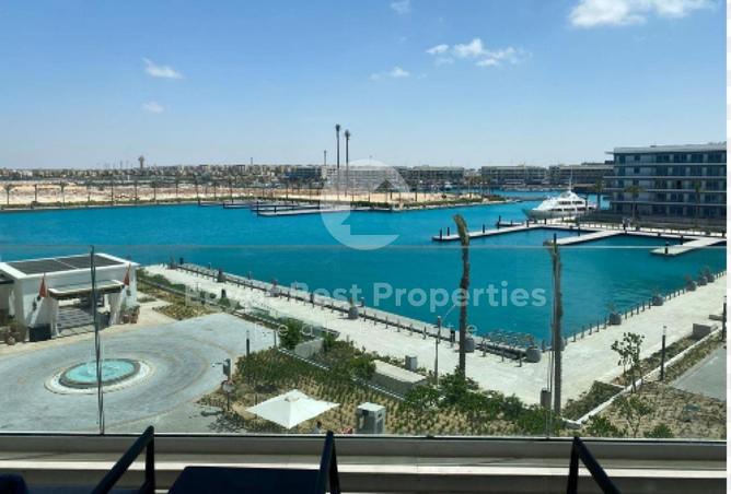 100090981 - صورة العقار 2