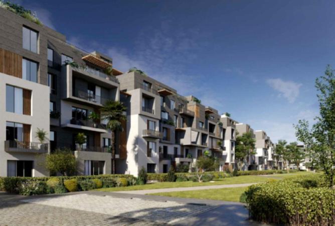 62884098 - Property Image 3