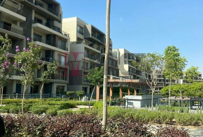 56248784 - Property Image 2