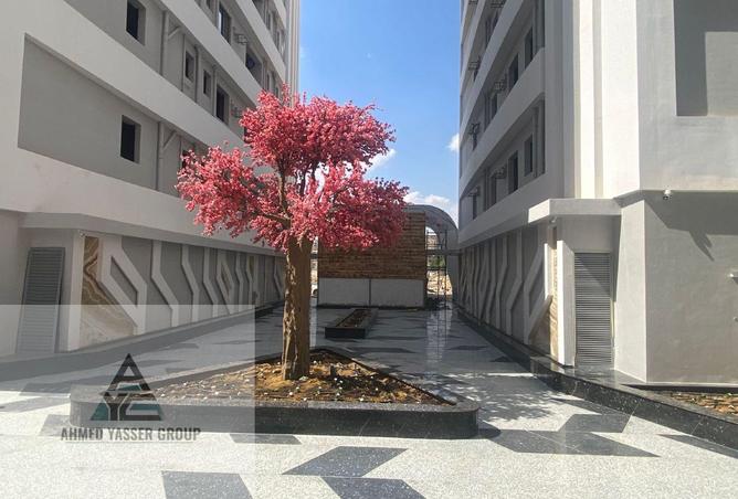 77329951 - صورة العقار 3