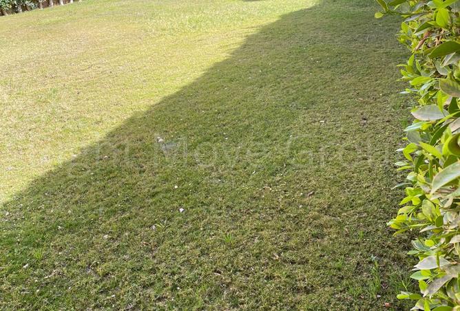 91861913 - Property Image 3