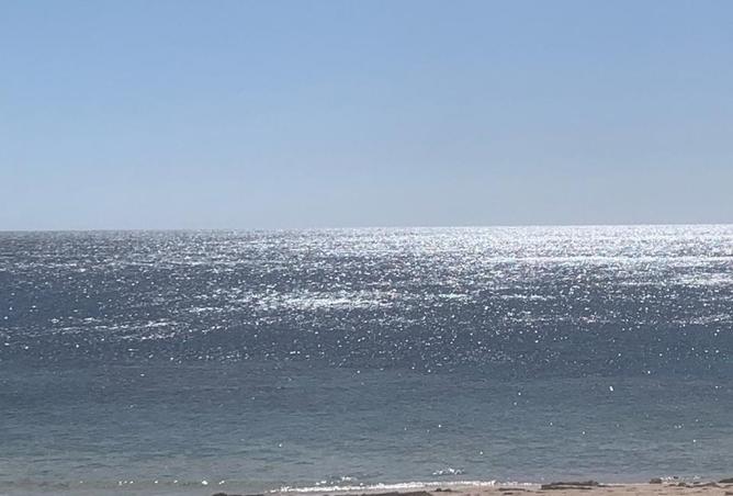 8521421 - صورة العقار 2