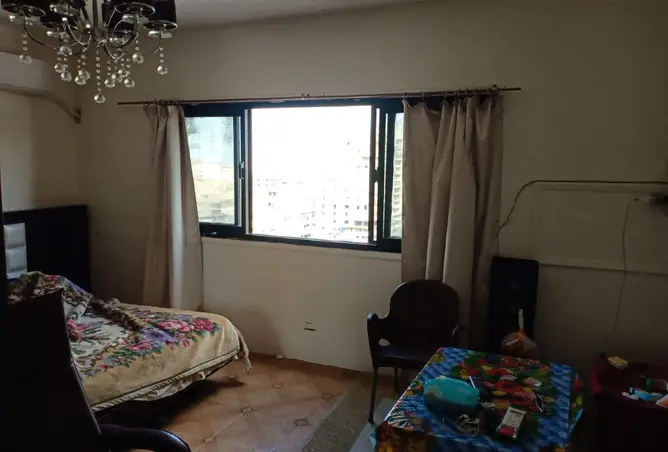 113521838 - Property Image 2