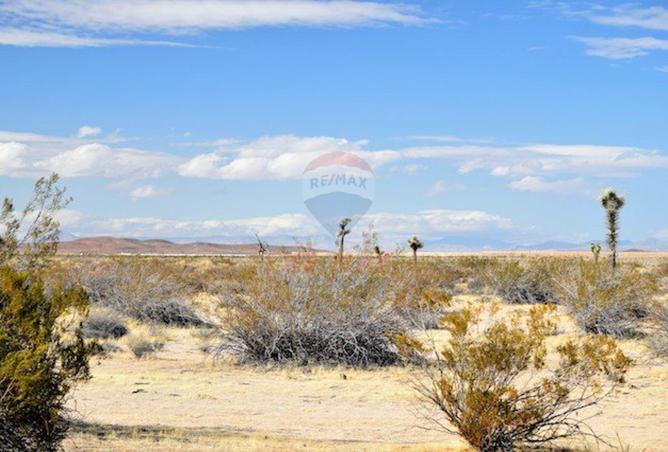 8667715 - Property Image 3