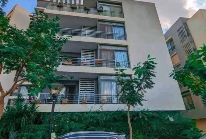 55251827 - Property Main Image