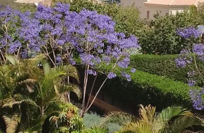 Villa - 4 Bedrooms - 5 Bathrooms for rent in Mivida - 5th Settlement Compounds - The 5th Settlement - New Cairo City - Cairo Villa - 4 Bedrooms - 5 Bathrooms for rent in Mivida - 5th Settlement Compounds - The 5th Settlement - New Cairo City - Cairo