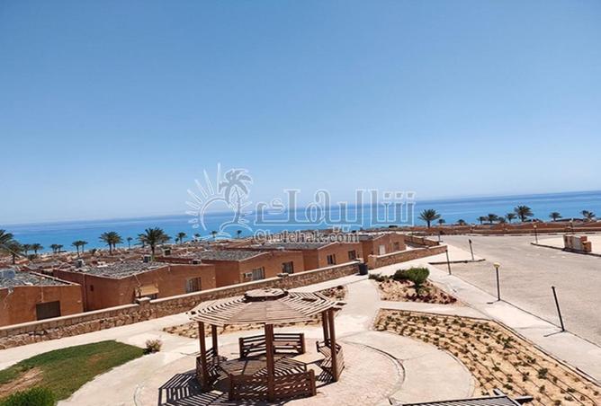 70372914 - Property Image 2