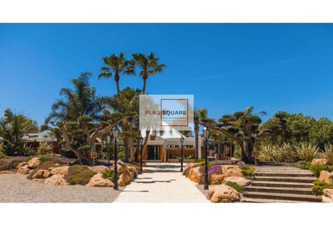 59493543 - Property Image 3